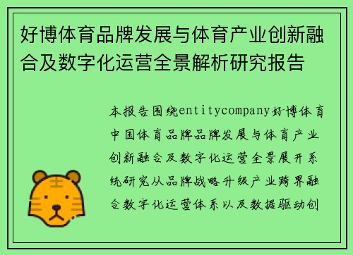 好博体育品牌发展与体育产业创新融合及数字化运营全景解析研究报告